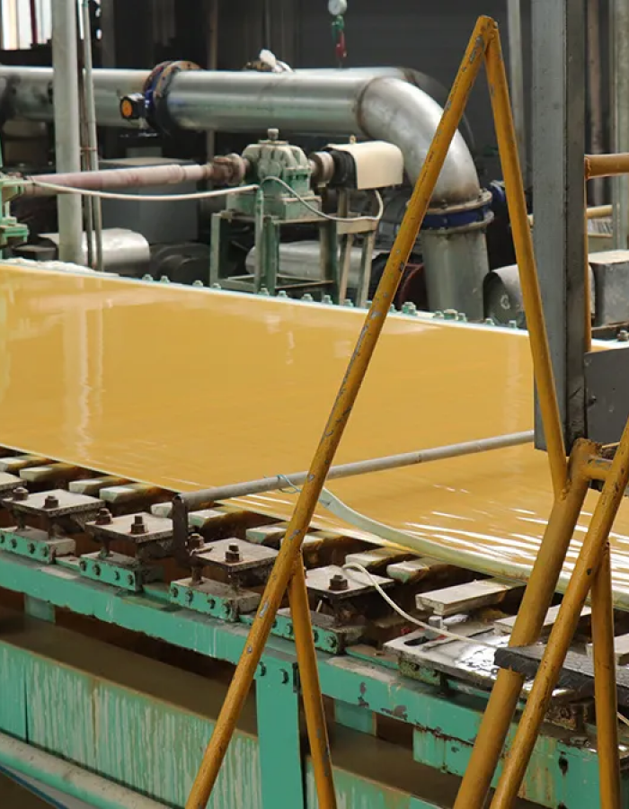 Bamboo Paper Pulp: Species and Uses