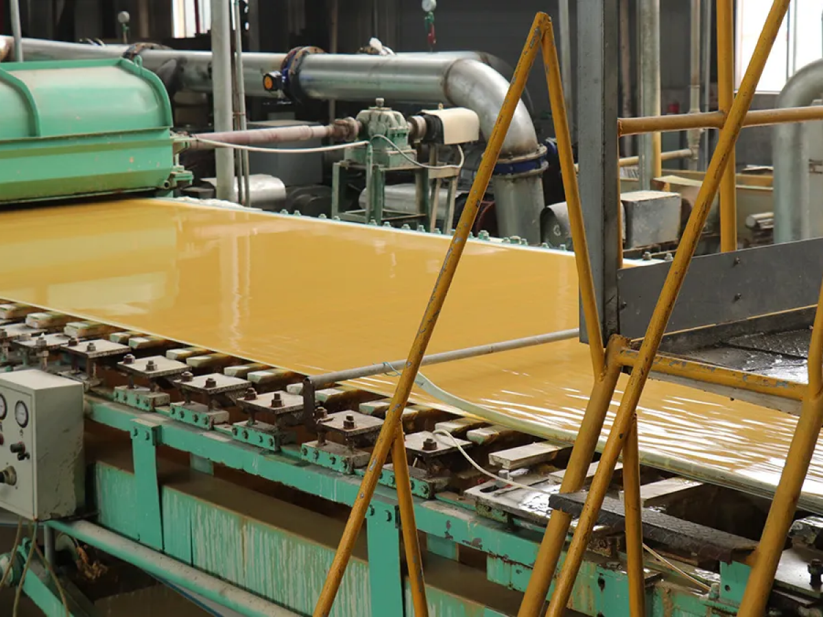 Bamboo Paper Pulp: Species and Uses