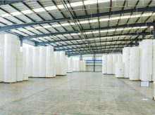 Cotton Pulp